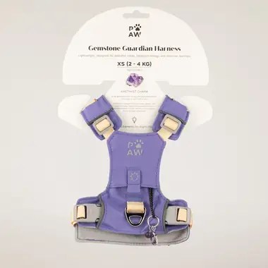 Arnés de paso Guardian — XS (2-4 kg) · Lavanda · Amatista
